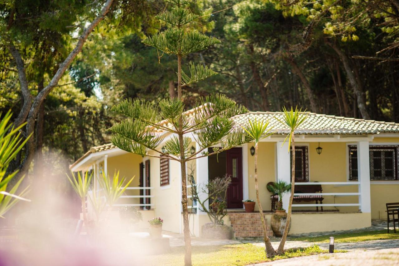Azzuro House Villa *